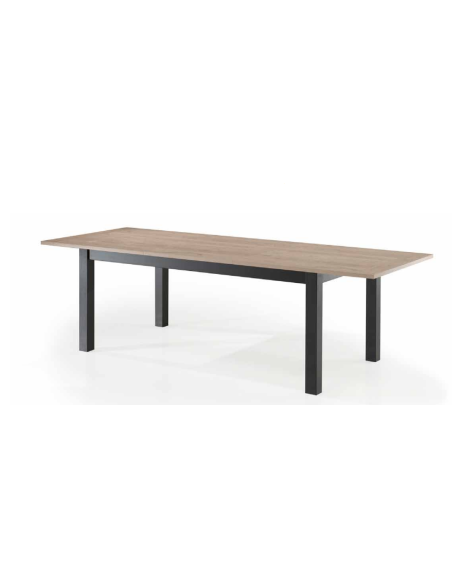 PASSE PARTOUT - Table avec 1 allonge