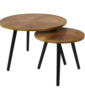 FELIX - Set de 2 tables basses 2