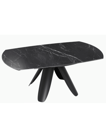 GRANDE AJACCIO - Table ronde